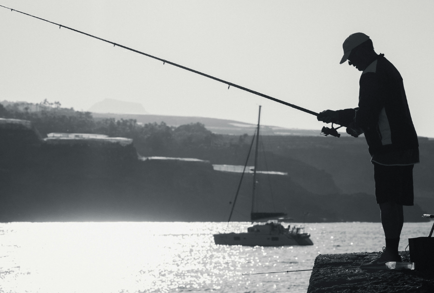 la caña de pescar ideal según tu tipo de pesca